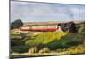 United Kingdom, England, North Yorkshire, Goathland-Nick Ledger-Mounted Photographic Print