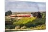 United Kingdom, England, North Yorkshire, Goathland-Nick Ledger-Mounted Photographic Print