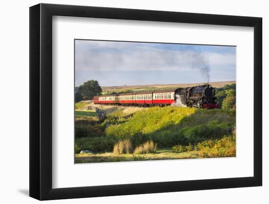 United Kingdom, England, North Yorkshire, Goathland-Nick Ledger-Framed Photographic Print