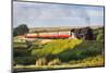 United Kingdom, England, North Yorkshire, Goathland-Nick Ledger-Mounted Photographic Print