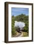 United Kingdom, England, North Yorkshire, Goathland-Nick Ledger-Framed Photographic Print