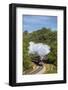 United Kingdom, England, North Yorkshire, Goathland-Nick Ledger-Framed Photographic Print