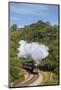 United Kingdom, England, North Yorkshire, Goathland-Nick Ledger-Mounted Photographic Print