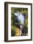 United Kingdom, England, North Yorkshire, Goathland-Nick Ledger-Framed Photographic Print