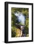 United Kingdom, England, North Yorkshire, Goathland-Nick Ledger-Framed Photographic Print