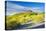 United Kingdom, England, North Yorkshire, Great Ayton. Spring Bluebells at Roseberry Topping.-Nick Ledger-Stretched Canvas