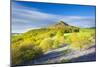 United Kingdom, England, North Yorkshire, Great Ayton. Spring Bluebells at Roseberry Topping.-Nick Ledger-Mounted Photographic Print