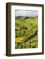 United Kingdom, England, North Yorkshire, Levisham-Nick Ledger-Framed Photographic Print