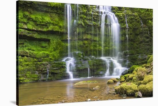 United Kingdom, England, North Yorkshire, Settle, Scaleber Force at Springtime.-Nick Ledger-Stretched Canvas