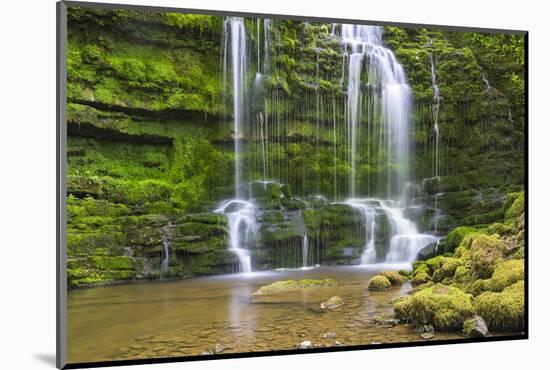 United Kingdom, England, North Yorkshire, Settle, Scaleber Force at Springtime.-Nick Ledger-Mounted Photographic Print