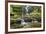 United Kingdom, England, North Yorkshire, Settle, Scaleber Force at Springtime.-Nick Ledger-Framed Photographic Print