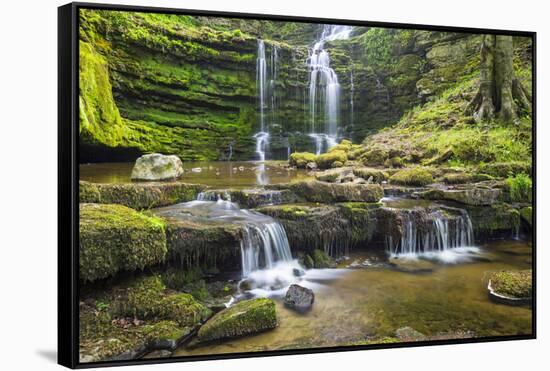 United Kingdom, England, North Yorkshire, Settle, Scaleber Force at Springtime.-Nick Ledger-Framed Stretched Canvas