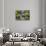 United Kingdom, England, North Yorkshire, Settle, Scaleber Force at Springtime.-Nick Ledger-Stretched Canvas displayed on a wall