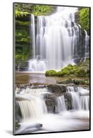 United Kingdom, England, North Yorkshire, Settle, Scaleber Force in Summer.-Nick Ledger-Mounted Photographic Print