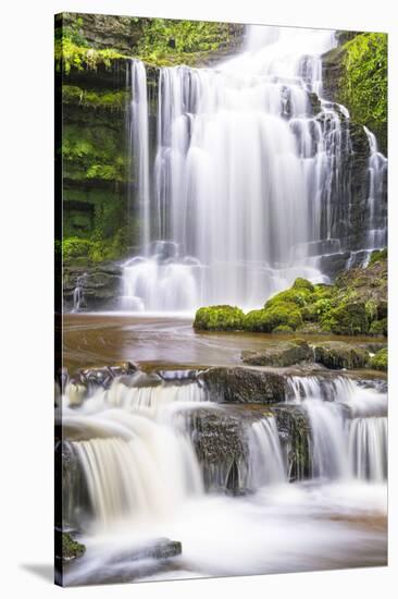 United Kingdom, England, North Yorkshire, Settle, Scaleber Force in Summer.-Nick Ledger-Stretched Canvas