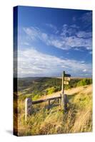 United Kingdom, England, North Yorkshire, Sutton Bank. a Signpost on the Cleveland Way-Nick Ledger-Stretched Canvas