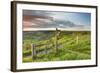 United Kingdom, England, North Yorkshire, Sutton Bank. a Signpost on the Cleveland Way.-Nick Ledger-Framed Photographic Print
