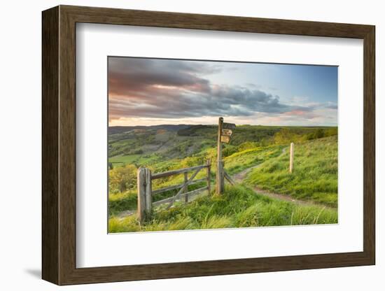 United Kingdom, England, North Yorkshire, Sutton Bank. a Signpost on the Cleveland Way.-Nick Ledger-Framed Photographic Print