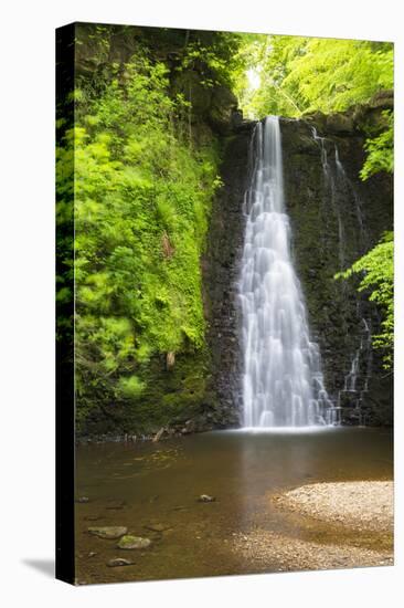 United Kingdom, England, North Yorkshire, Whitby, Sneaton Forest. Falling Foss Waterfall.-Nick Ledger-Stretched Canvas