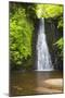 United Kingdom, England, North Yorkshire, Whitby, Sneaton Forest. Falling Foss Waterfall.-Nick Ledger-Mounted Photographic Print