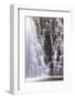 United Kingdom, England, North Yorkshire, Whitby, Sneaton Forest. Falling Foss Waterfall.-Nick Ledger-Framed Photographic Print