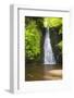 United Kingdom, England, North Yorkshire, Whitby, Sneaton Forest. Falling Foss Waterfall.-Nick Ledger-Framed Photographic Print