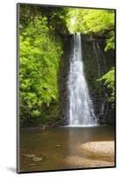 United Kingdom, England, North Yorkshire, Whitby, Sneaton Forest. Falling Foss Waterfall.-Nick Ledger-Mounted Photographic Print