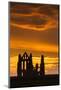 United Kingdom, England, North Yorkshire, Whitby. Whitby Abbey was founded in 657 AD by Oswy, the S-Nick Ledger-Mounted Photographic Print