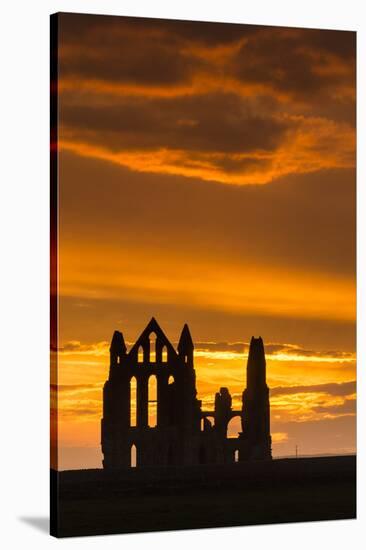 United Kingdom, England, North Yorkshire, Whitby. Whitby Abbey was founded in 657 AD by Oswy, the S-Nick Ledger-Stretched Canvas