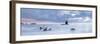 United Kingdom, England, North Yorkshire, Whitby-Nick Ledger-Framed Photographic Print