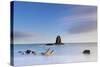 United Kingdom, England, North Yorkshire, Whitby-Nick Ledger-Stretched Canvas