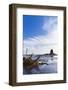 United Kingdom, England, North Yorkshire, Whitby-Nick Ledger-Framed Photographic Print