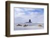 United Kingdom, England, North Yorkshire, Whitby-Nick Ledger-Framed Photographic Print