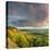 United Kingdom, England, North Yorkshire-Nick Ledger-Stretched Canvas