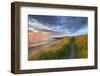 United Kingdom, Uk, Northumberland, Sunrise at Dunstanburgh Castle-Fortunato Gatto-Framed Photographic Print