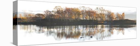 United Kingdom, Uk , Scotland, Highlands , Amazing Colours on Loch Nah Achlaise-Fortunato Gatto-Stretched Canvas