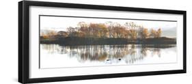 United Kingdom, Uk , Scotland, Highlands , Amazing Colours on Loch Nah Achlaise-Fortunato Gatto-Framed Photographic Print