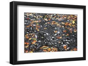 United Kingdom, Uk , Scotland, Highlands , Autumn Foliage Dances Above the Water of the Birks-Fortunato Gatto-Framed Photographic Print