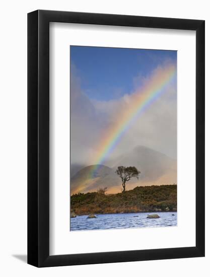 United Kingdom, Uk , Scotland, Highlands, Rannoch Moor-Fortunato Gatto-Framed Photographic Print