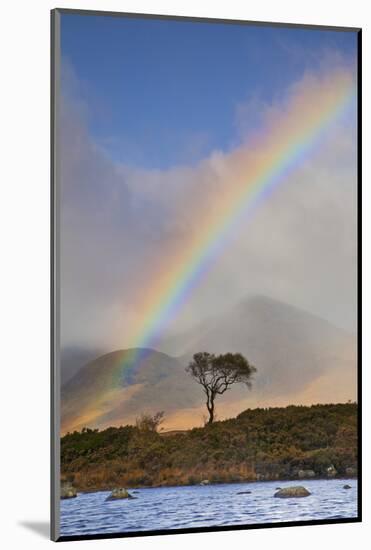 United Kingdom, Uk , Scotland, Highlands, Rannoch Moor-Fortunato Gatto-Mounted Photographic Print