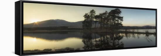 United Kingdom, Uk, Scotland, Highlands, Two Scots Pines at Sunset at Loch Tulla, Inveroran-Luciano Gaudenzio-Framed Stretched Canvas
