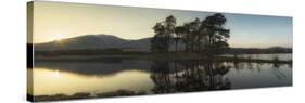 United Kingdom, Uk, Scotland, Highlands, Two Scots Pines at Sunset at Loch Tulla, Inveroran-Luciano Gaudenzio-Stretched Canvas