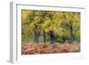 United Kingdom, Uk , Scotland, Highlands , Wind Blows Through the Fern and the Autumn Foliage-Fortunato Gatto-Framed Photographic Print