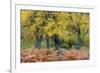 United Kingdom, Uk , Scotland, Highlands , Wind Blows Through the Fern and the Autumn Foliage-Fortunato Gatto-Framed Photographic Print