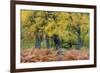 United Kingdom, Uk , Scotland, Highlands , Wind Blows Through the Fern and the Autumn Foliage-Fortunato Gatto-Framed Photographic Print