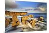 United Kingdom, Uk, Scotland, Inner Hebrides, Contrast Between the Yellow Rocks and the Blue Water-Fortunato Gatto-Mounted Photographic Print