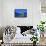 United Kingdom, Uk, Scotland, Inner Hebrides, Eilean Donan-Fortunato Gatto-Framed Stretched Canvas displayed on a wall