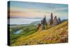 United Kingdom, Uk, Scotland, Inner Hebrides, Isle of Skye, Old Man of Storr-Fortunato Gatto-Stretched Canvas