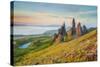 United Kingdom, Uk, Scotland, Inner Hebrides, Isle of Skye, Old Man of Storr-Fortunato Gatto-Stretched Canvas