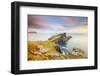 United Kingdom, Uk, Scotland, Inner Hebrides, the Cliffs of Neist Point-Fortunato Gatto-Framed Photographic Print